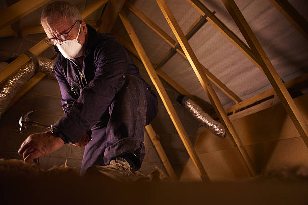 Best Geographic-Specific Insulation Services in Pleasantdale, NJ